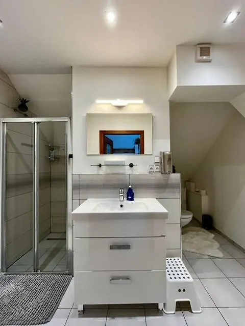 Apartman Anezka, U Ostravar Areny 0*, Ostrava Česká republika