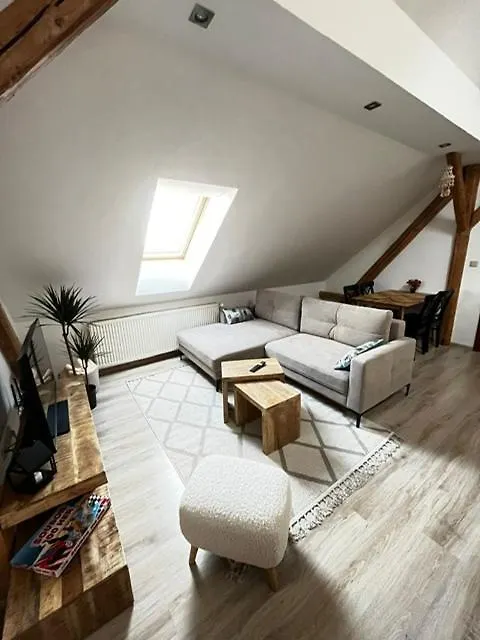 Apartman Anezka, U Ostravar Areny