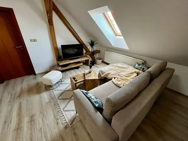 Apartman Anezka, U Ostravar Areny Česká republika